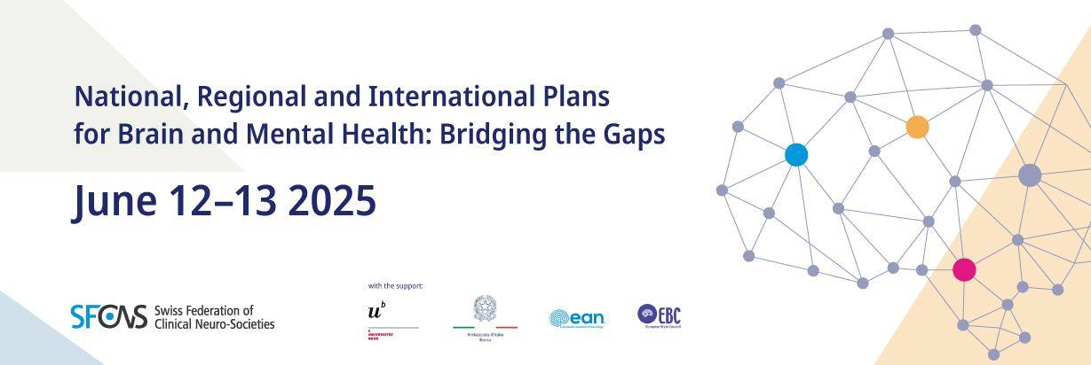 National, Regional and International Plans for Brain and Mental Health: Bridging the Gaps